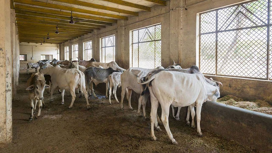 Volunteer & Community Engagement